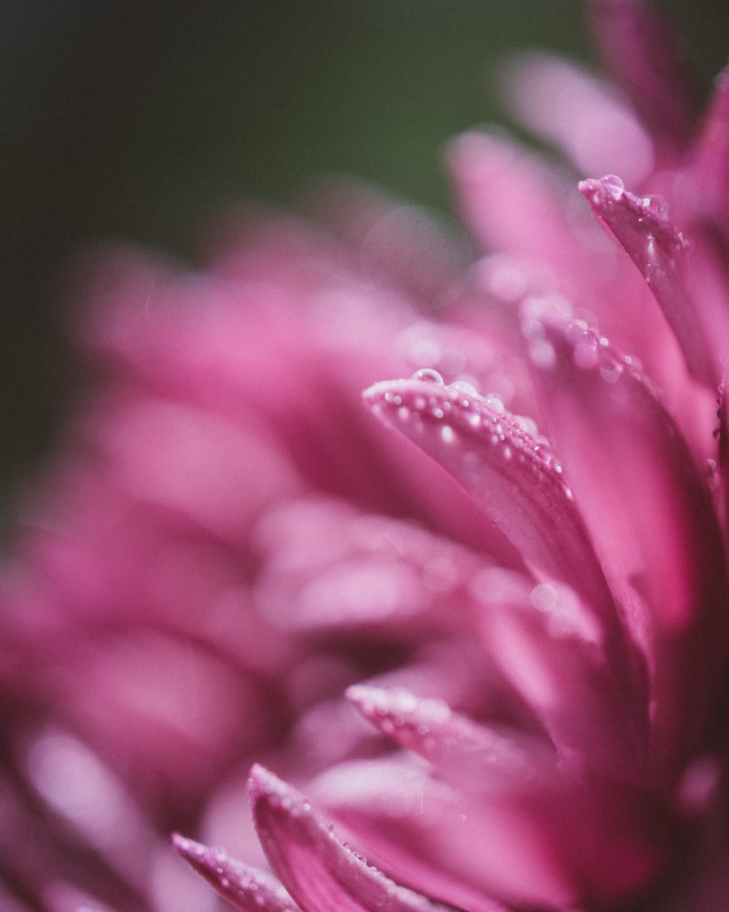 chad-madden-ARI3Lw4QtDA-unsplash
