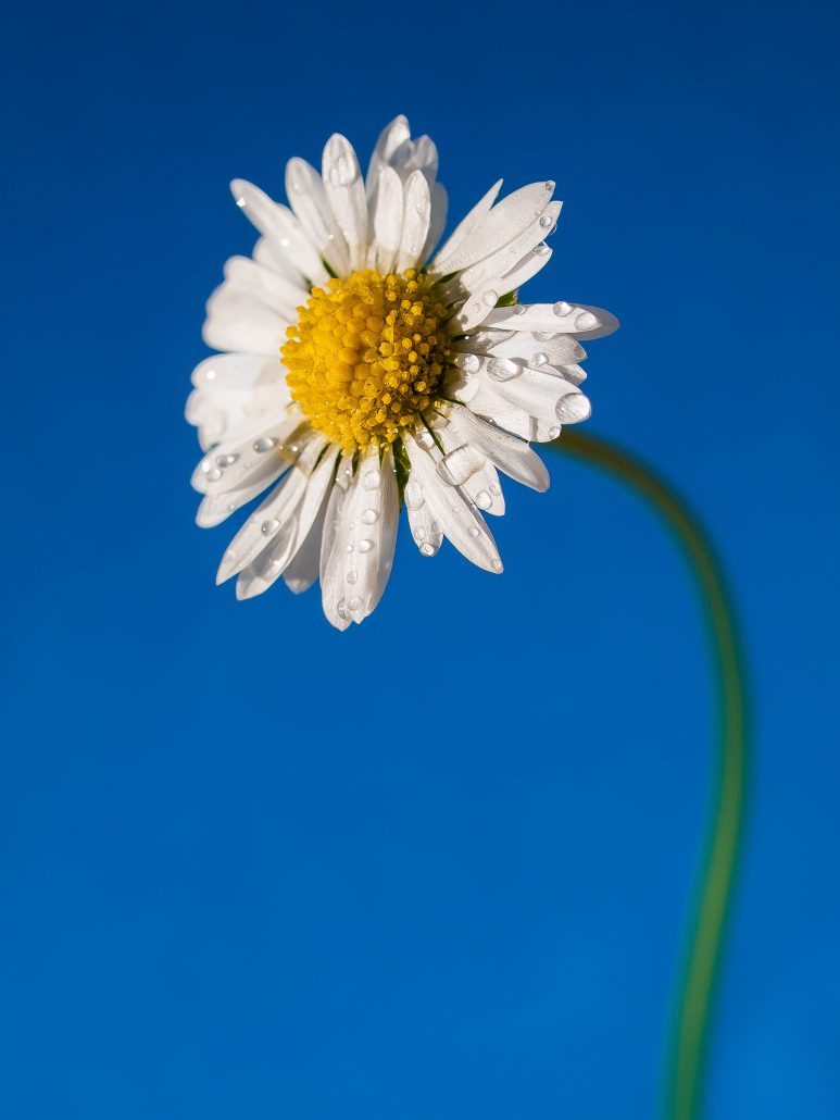 william-warby-Jhz41Hjix8w-unsplash