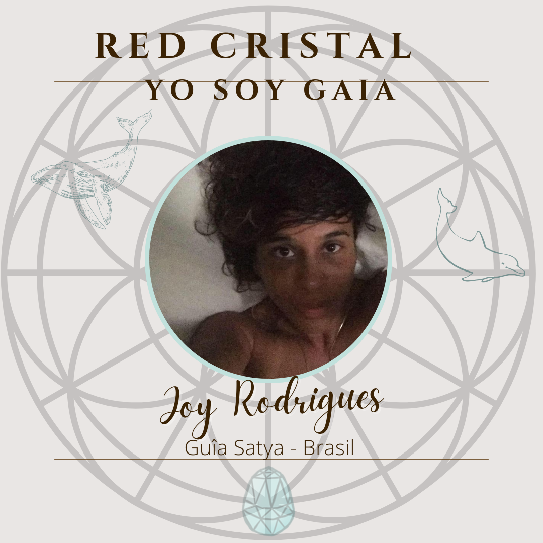 red cristal (2)